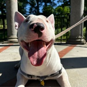 Meet your Posher, Alexis